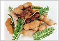 > </div>
<div class=